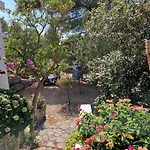 By The Sea Maslinica, Solta - 772 Apartman *